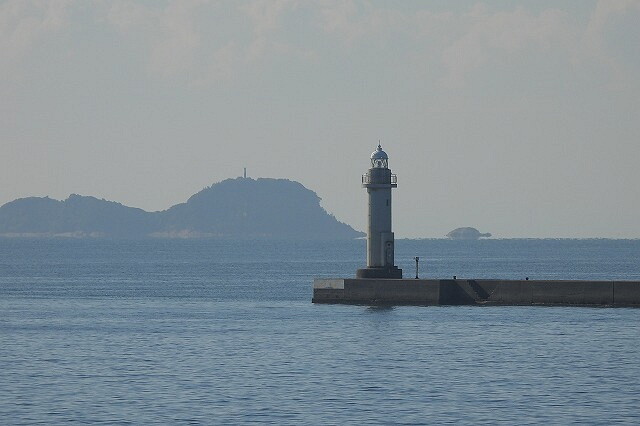 DSCN8769