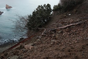 IMG_5969
