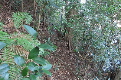 IMG_0488