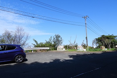 DSCN8411