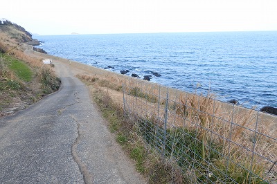 DSCN6177