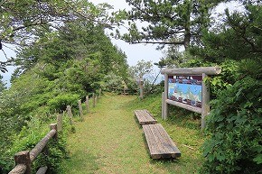 IMG_0507