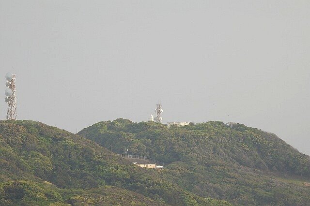 DSCN6910