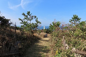 IMG_9353