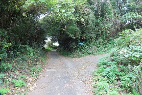 IMG_9462