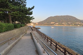 IMG_9014 (1)