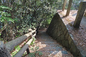IMG_0310