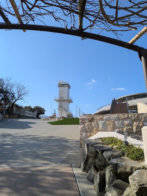PXL_20260209_014432443.MP