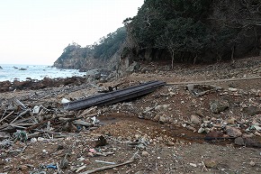 IMG_5982
