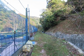 IMG_9281