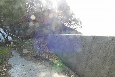 DSCN1626