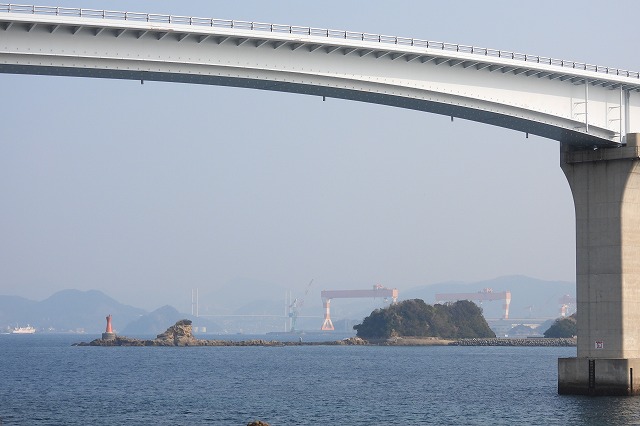 DSCN6126