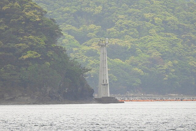 DSCN6708