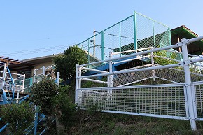 IMG_0234