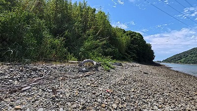Snapshot_20260604195722