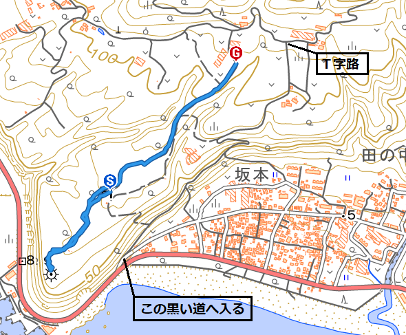 hanesaki