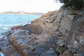 IMG_6049