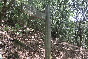 IMG_9935