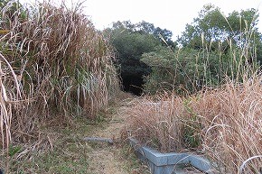 IMG_5925