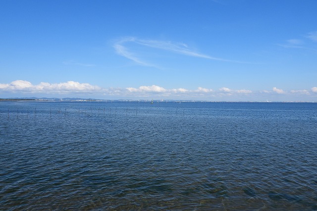DSCN3324
