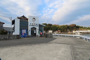 IMG_5915