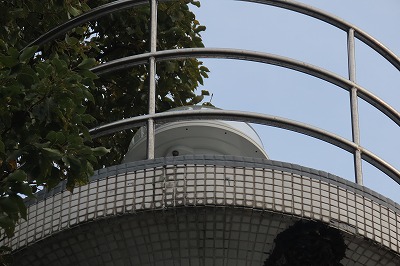 IMG_0764