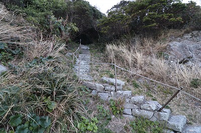 IMG_5336 (1)