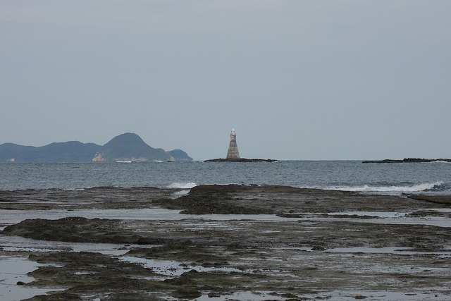 DSCN9262