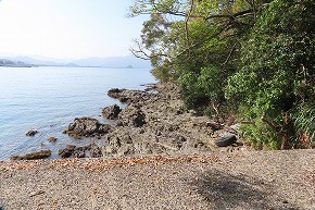 IMG_9314