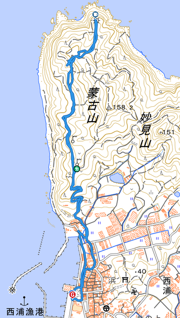 nisiurasaki