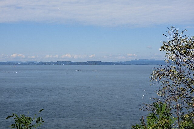 DSCN8396