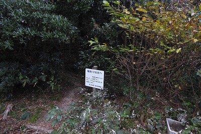 DSCN1224