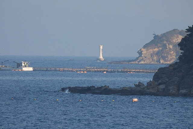 DSCN6173