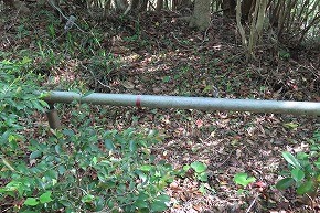 IMG_9058