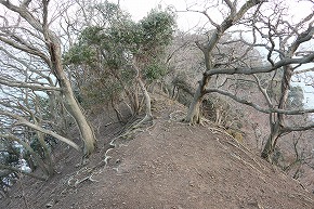 IMG_5993
