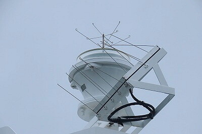 IMG_7635 (1)