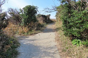 IMG_9370