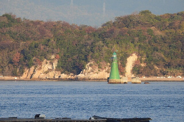 DSCN0698