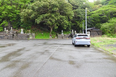 DSCN6700