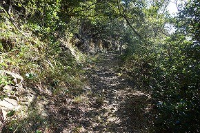 DSC00868