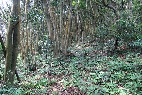 IMG_0952