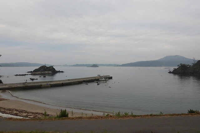 DSCN3545