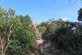 IMG_9300