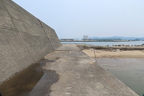 IMG_0530