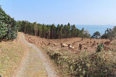 IMG_6001