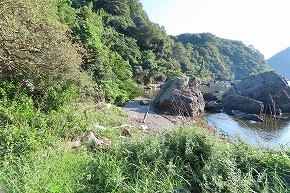 IMG_8345