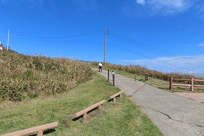 IMG_4435