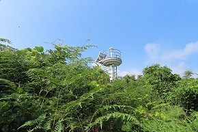 img_0628