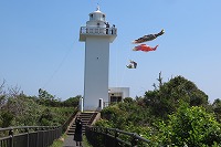 IMG_9110