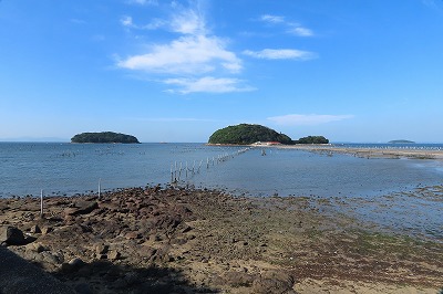 IMG_0622